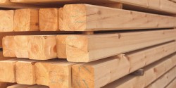 Holzbau und Holzwerkstoffe